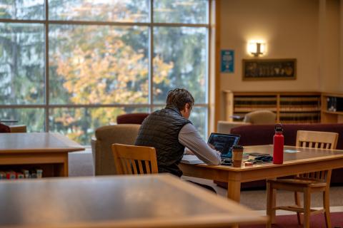 A student studying in the IP Library